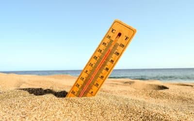 🌡️ Canicule : les conseils naturels de Maryline, naturopathe chez Pharmabella, pour mieux vivre les fortes chaleurs